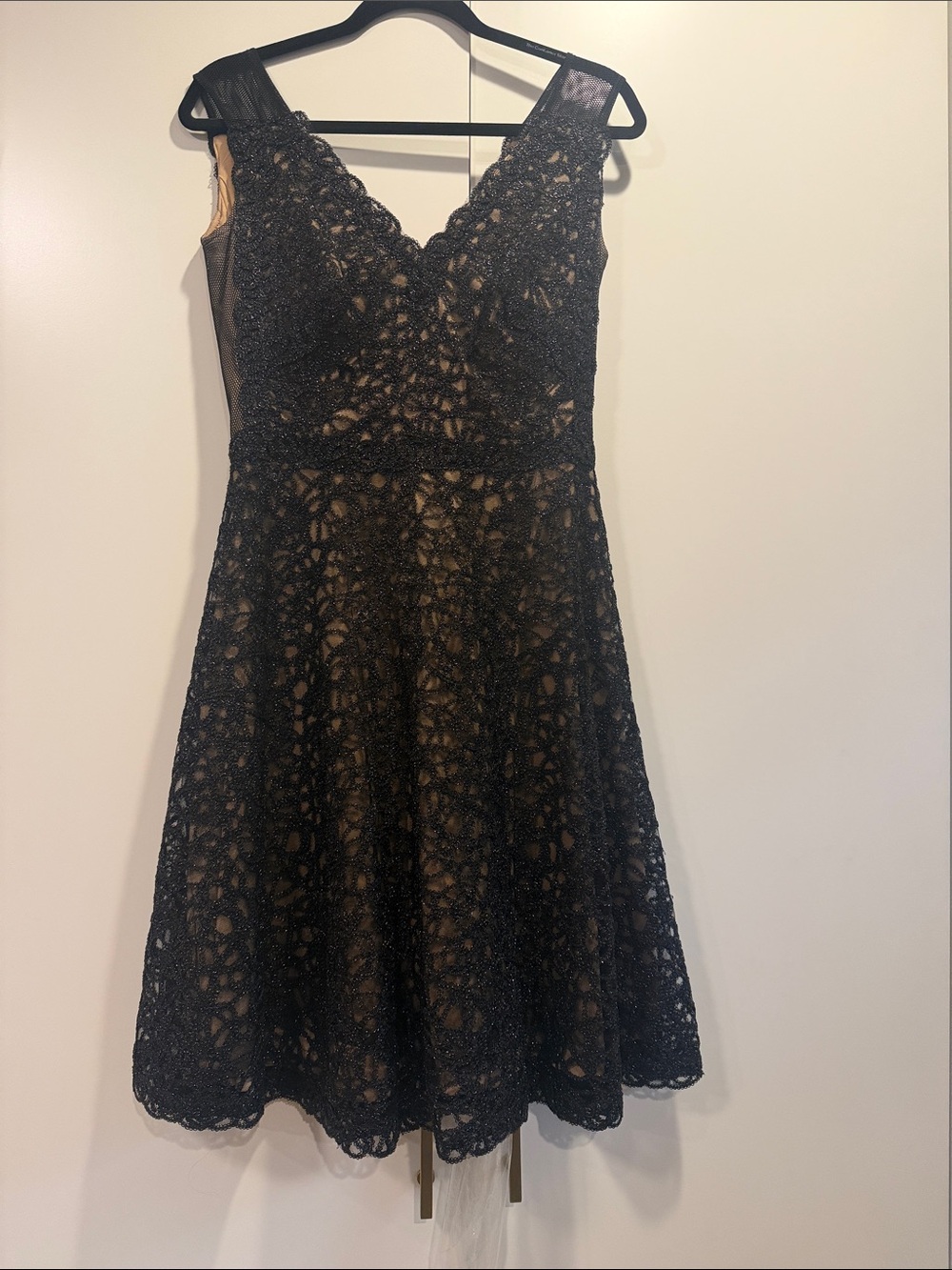 Tadashi Shoji Black Lace A-Line Dress with Nude Lining
